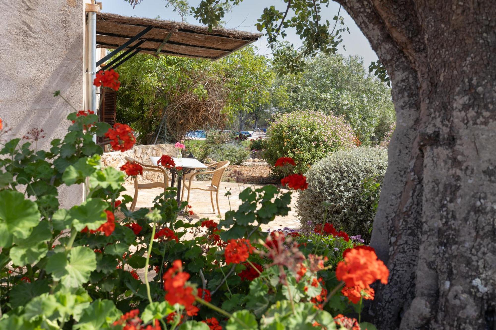 Finca Son Marimon (Adults Only) Santanyí Exterior foto